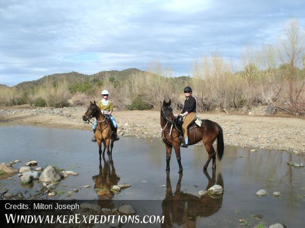 Tiffany and Rocca great horses