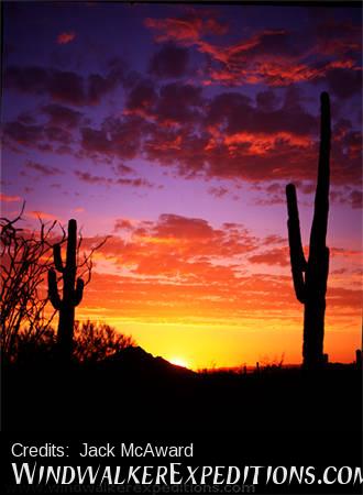 Carefree, AZ Sunset with saguaros and red and yellow clouds