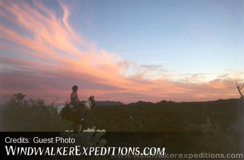 Desert Sunset on Horseback