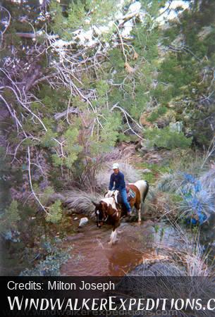 Seven Springs trail ride