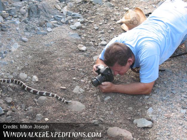 Photography workshop instructor Dan Cotton photographing a California King Snake