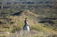 Lady on white Arabian