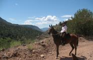 Mountain trail ride