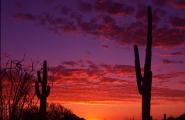 Arizona sunset