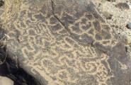 Indian Mesa Petroglyphs