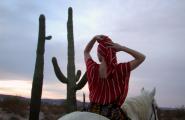 Lady on Arabian Horse